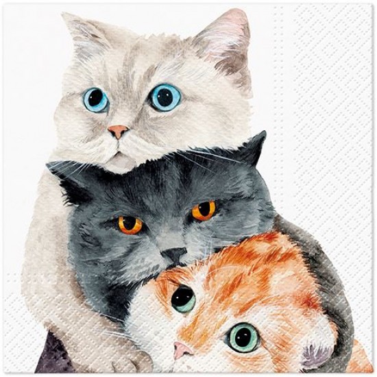 Салфетки Котета, 33 х 33 см